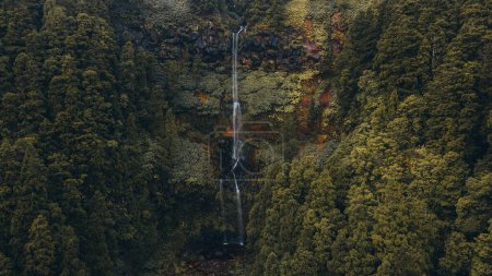 Photo for Waterfall by drone in Furnas, Sao Miguel, the Azores - Royalty Free Image