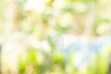 World environment day concept: Abstract blurred green nature wallpaper background