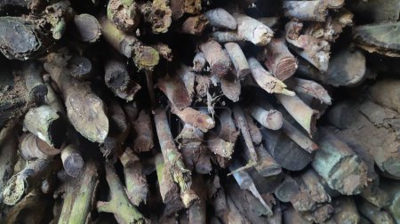 Téléchargez les photos : Pile de bois de chauffage. branche frite pour carburant - en image libre de droit
