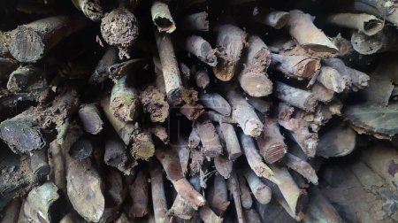 Téléchargez les photos : Pile de bois de chauffage. branche frite pour carburant - en image libre de droit