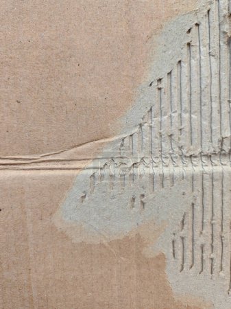 Photo for Ripped cardboard texture for poster. torn card board - Royalty Free Image