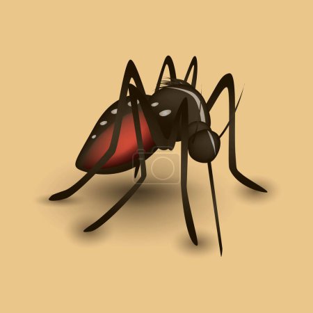 Illustration for Realistic mosquito isolated vector illustration - Royalty Free Image