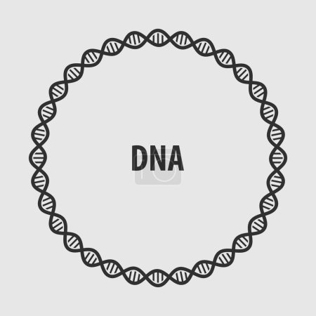 Cadre rond abstrait d'ADN, symbole génétique humain. Illustration vectorielle