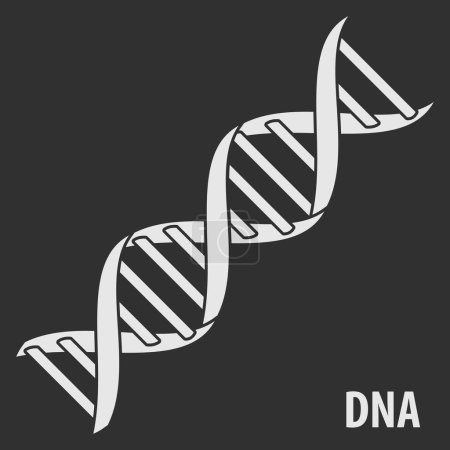 Icône ADN Helix, symbole génétique humain. Illustration vectorielle