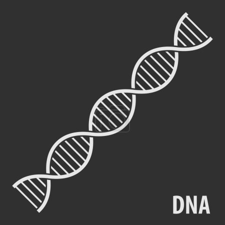 Icône ADN Helix, symbole génétique humain. Illustration vectorielle