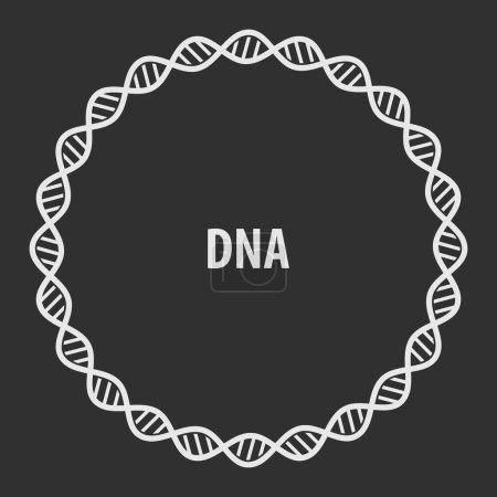 Cadre rond abstrait d'ADN, symbole génétique humain. Illustration vectorielle