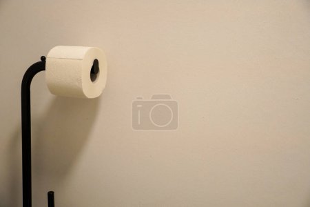 Téléchargez les photos : Rouleau de toilette avec carreaux blancs, vue de dessus. espace pour le texte - en image libre de droit