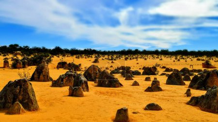 Photo for The Pinnacles - Australia. High quality photo - Royalty Free Image