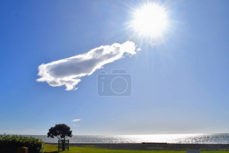 Photo for Beautiful summer sunrise in Napier Beach, Hawkes Bay New Zealand . High quality photo - Royalty Free Image