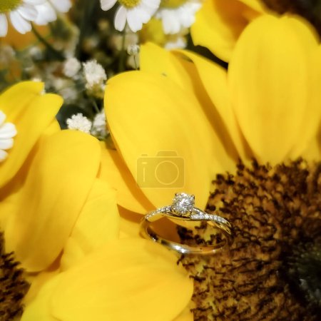 Photo for Engagement diamond ring closeup shot in sunflowers. High quality photo - Royalty Free Image