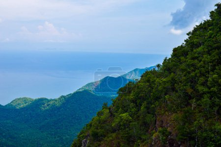 Photo for Lush rainforest and ocean view. High quality photo - Royalty Free Image