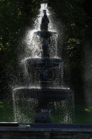 fountain in the park in summer