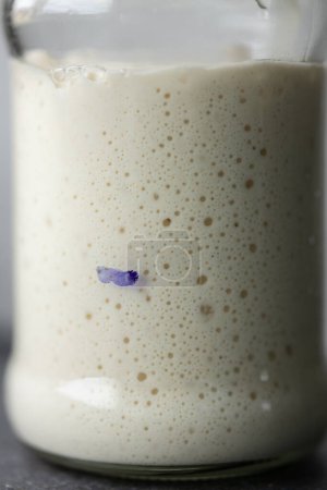 abridor de masa fermentada burbujeante en frasco de vidrio duplicado en tamaño después de la alimentación. Primer plano