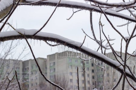 Téléchargez les photos : An icy tree branch against the backdrop of residential buildings. Blackout in Ukraine. Disconnection of heating, electricity, communications as a result of shelling of critical infrastructure. - en image libre de droit