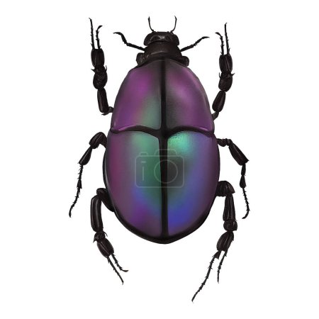 Photo pour Chromacoat Beetle Insect Arthropode Digital Art By Winters860 - image libre de droit