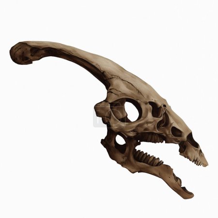 Téléchargez les photos : Parasaurolophus Skull Fossil Digital Art Par Winters860 - en image libre de droit