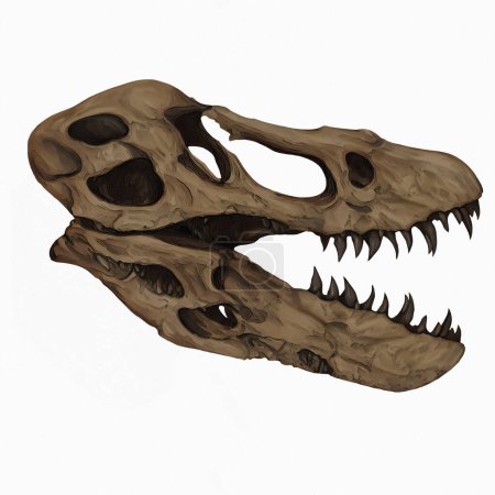  Tyrannosaurus T Rex Skull Fossil Digital Art By Winters860