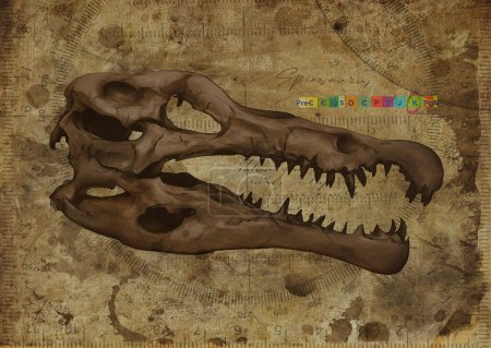 Spinosaurus Dinosaur Skull Art Study Vieux papier texturé Vintage affiche géométrique Digital Art By Winters860