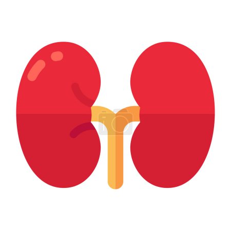 Illustration for Premium download icon of kidneys - Royalty Free Image