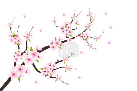 Illustration for Vector cherry blossom branch with sakura flower.cherry blossom vector.watercolor cherry bud. pink sakura flower - Royalty Free Image