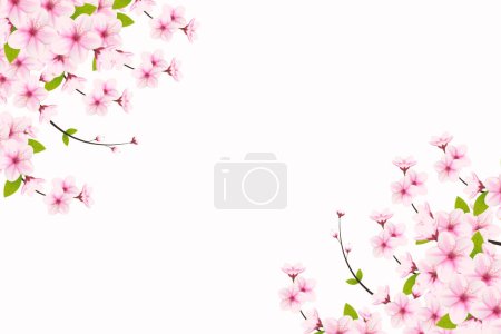 Kwiat wiśni tło z sakura kwiat. Akwarela wektor kwiat wiśni. Kwiat wiśni wektor kwitnienia. Różowy tło kwiat sakura. Sakura na białym tle