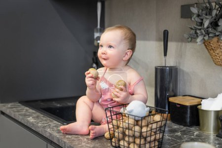 Photo for Little caucasian baby girl sitting on table in domestic kitchen. Cute toddler wear bodysuit and play with nuts. Daily home routine. Goods and products for children advertisement copy space - Royalty Free Image
