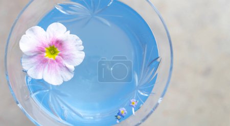 Téléchargez les photos : Vue de dessus sur un verre avec cocktail bleu à la fleur tendre. Mise au point sélective. Espace de copie, espace négatif pour la publicité de conception - en image libre de droit