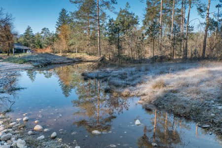 Photo for Wetlands in winter, near the Sobec camping ground in Slovenia - Royalty Free Image