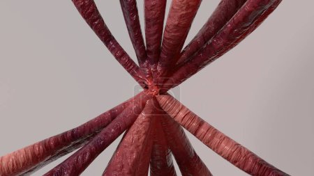 Téléchargez les photos : Fond abstrait de tentacules de monstres organiques en captivante image de rendu 3D rose Illustration 3D de haute qualité - en image libre de droit