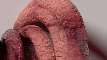 Téléchargez les photos : Tentacules de monstres organiques De nombreuses grappes organiques courbes Rose Image de rendu 3D Fond abstrait Illustration 3D de haute qualité - en image libre de droit