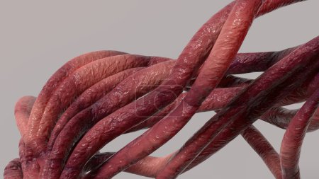 Téléchargez les photos : Fond abstrait de rose envoûtant Image de rendu 3D de tentacules de monstres organiques enroulement Illustration 3D de haute qualité - en image libre de droit