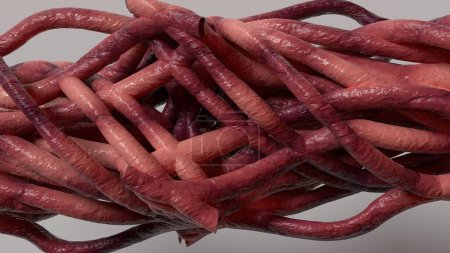 Téléchargez les photos : Fond abstrait des tentacules de monstres organiques courbant de nombreuses grappes biologiques Image de rendu 3D rose Illustration 3D de haute qualité - en image libre de droit