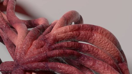 Téléchargez les photos : Fond abstrait de tentacules monstre organique courbé organique de nombreuses images de rendu 3D rose Illustration 3D de haute qualité - en image libre de droit