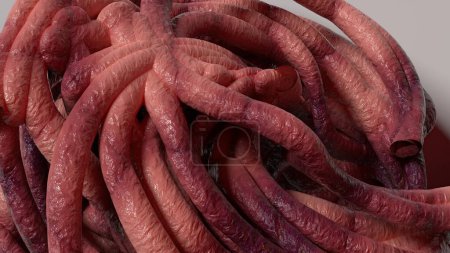 Téléchargez les photos : Tentacules de monstres organiques Beaucoup de courbes organique rose rendu 3D Image Résumé Fond Illustration 3D de haute qualité - en image libre de droit