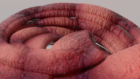 Téléchargez les photos : Tentacules de monstres biologiques Curvy Organic Bunch Pink Image de rendu 3D Illustration 3D de haute qualité - en image libre de droit