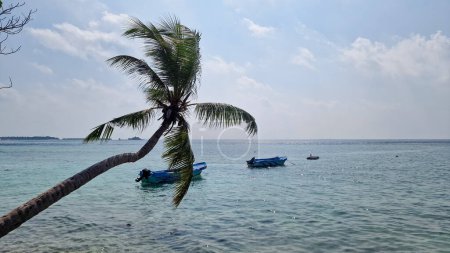 Téléchargez les photos : Palmier et eau turquoise sur l'île de Gulhi, Maldives - en image libre de droit