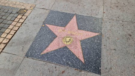 Téléchargez les photos : Hollywood Boulevard et le Walk of Fame forment un monument culturel emblématique à Los Angeles, en Californie, où les paillettes et le glamour de l'industrie du divertissement convergent, orné des noms et des étoiles de personnalités légendaires - en image libre de droit