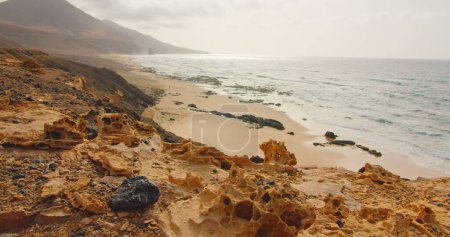 Téléchargez les photos : Plage cofete avec un horizon sans fin et des traces sur le sable. Collines volcaniques en arrière-plan et l'océan Atlantique. Paysage désertique de la nature, Fuerteventura, Îles Canaries, Espagne. grès, le vent attire - en image libre de droit