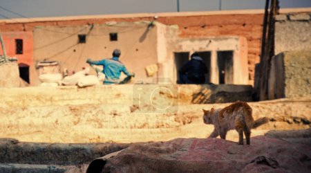 Téléchargez les photos : Vue sur la tannerie dans le souk d'arrakesh - Maroc. Photo de haute qualité - en image libre de droit