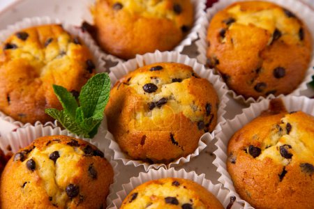 Photo for Chocolate chips muffin made in a German patisserie. - Royalty Free Image