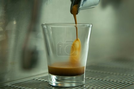 Photo for Barista preparing a delicious organic coffee. - Royalty Free Image