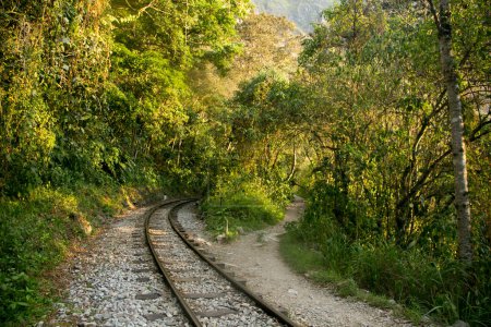 Photo for Hiking from Santa Teresa Hidroelectrica to Aguas Calientes to reach Machupicchu. Path following the train tracks with several hikers. - Royalty Free Image