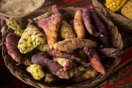 Foto de Variedad de patatas peruanas. En la ceremonia de la pachamanca se cocinan cordero, alpaca, cerdo y ternera. También variedad de tubérculos y verduras. Todo bajo piedras calientes y cubierto de tierra. - Imagen libre de derechos
