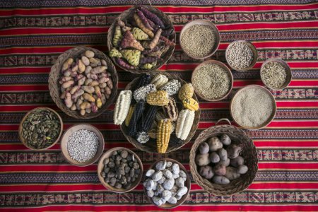 Photo for Basic ingredients for the Pachamanca ceremony in Peru. In the pachamanca ceremony, lamb, alpaca, pork and beef are cooked. Also variety of tubers and vegetables. All under hot stones and covered with earth. - Royalty Free Image