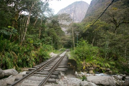 Photo for Hiking from Santa Teresa Hidroelctrica to Aguas Calientes to reach Machupichu. Path following the train tracks with several hikers. - Royalty Free Image