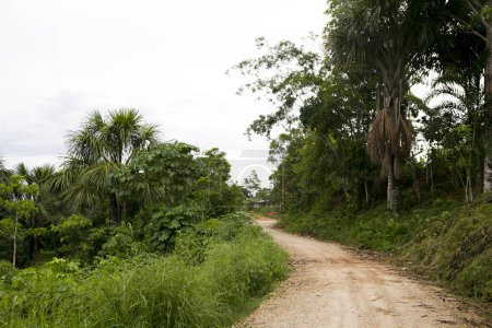 Téléchargez les photos : Vue depuis les rues et les maisons d'une ville de la région amazonienne au Pérou près de la ville de Yurimaguas. - en image libre de droit