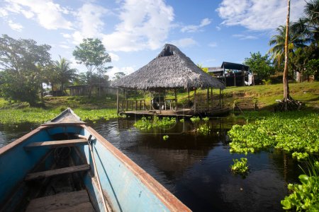 Téléchargez les photos : Vue depuis le lac Cuipari dans la jungle péruvienne. - en image libre de droit