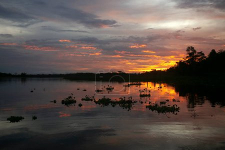 Téléchargez les photos : Coucher de soleil depuis le lac Cuipari dans la jungle péruvienne. - en image libre de droit