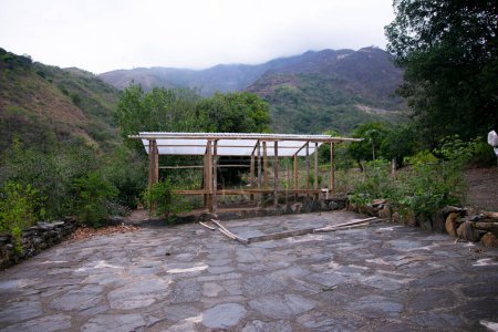 Foto de Plantación de café en la región de Moyobamba en la selva peruana. - Imagen libre de derechos