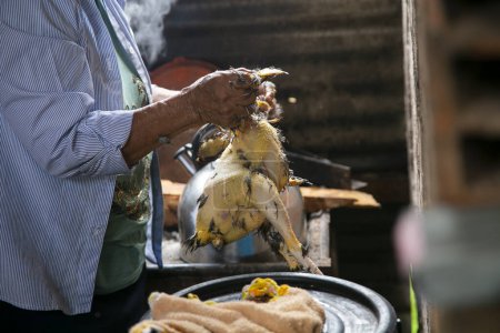 Foto de Cuipari, Perú; 1 de octubre de 2022: Una mujer desplumando un pollo y cocinándolo en la selva peruana. - Imagen libre de derechos
